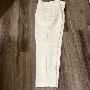 Zara Pants Very Cute on Classy